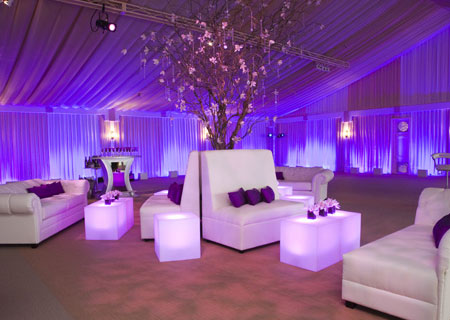 Wedding Tent Rentals in Hollywood Provide an Affordable Option