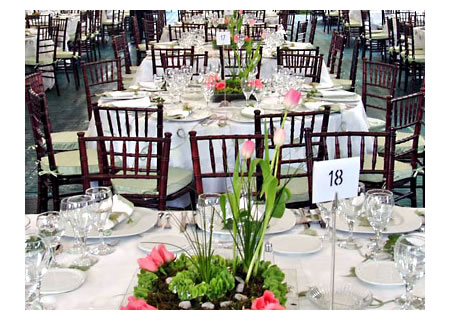 Event Rentals West Palm Beach Tent Rentals West Palm Beach